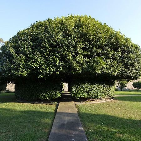 Quinta Das Lavandeiras - Caldas De Vizela Buitenkant foto